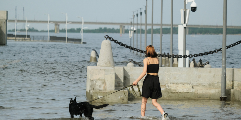 Специалисты готовятся к весеннему половодью в Волго-Ахтубинской пойме