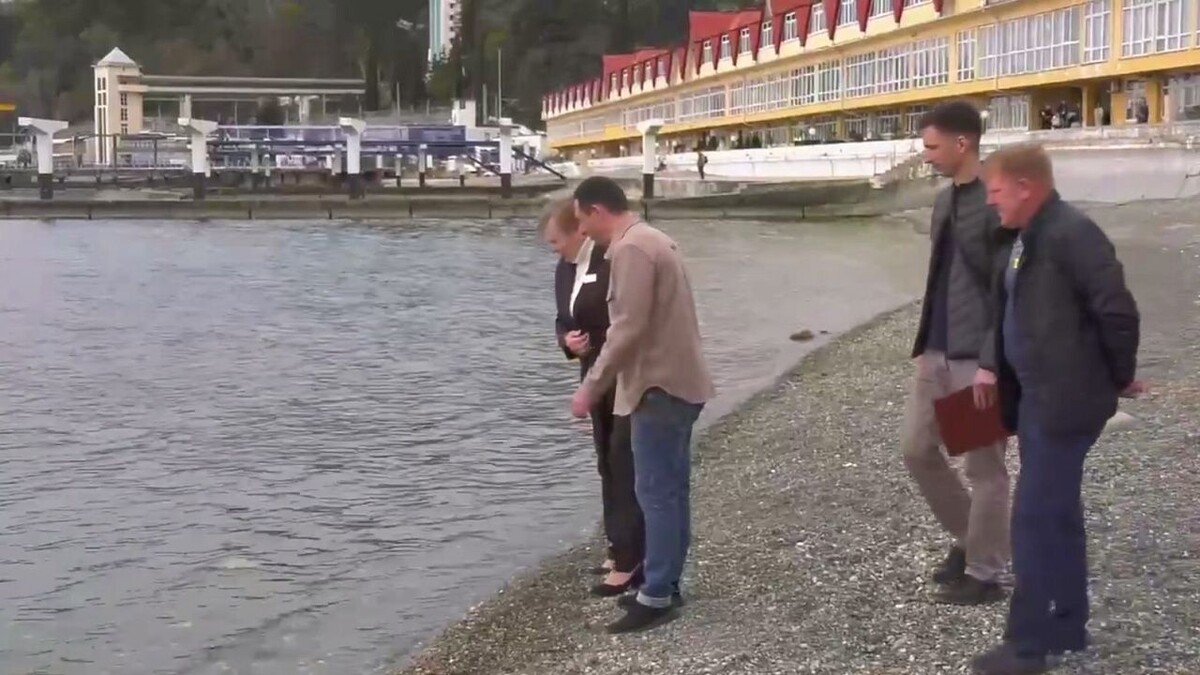 Экологи заверили в безопасности курортного сезона в Сочи