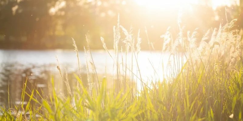 В Воронежской области запланирована масштабная очистка реки Осередь