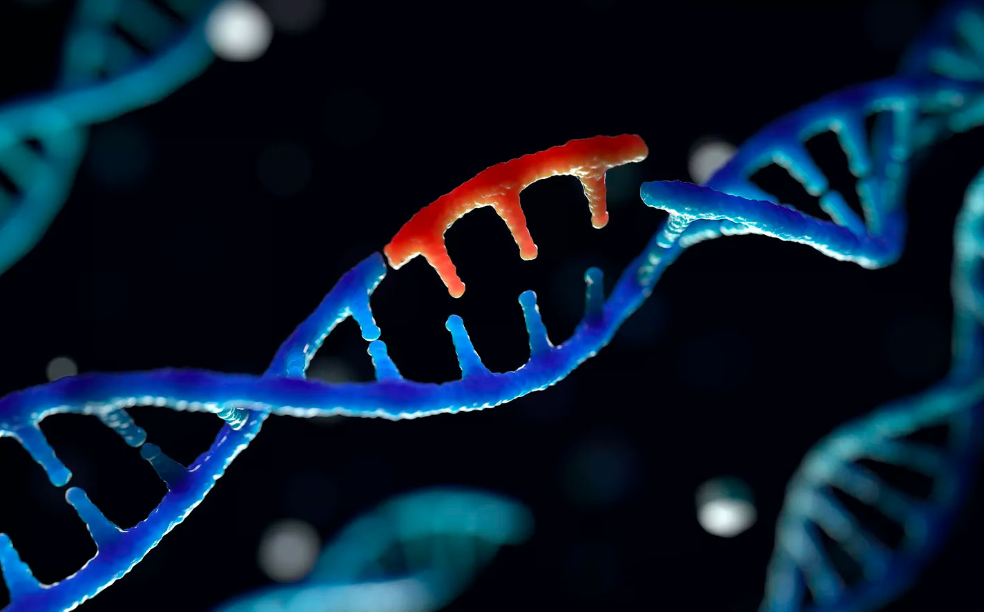 Ивановские ученые получили вещество для повреждения